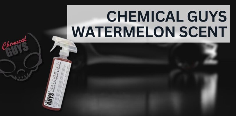 Chemical Guys Watermelon Scent Lufterfrischer – Frischer Wassermelonen-Duft für dein Auto - Chemical Guys Watermelon Scent Lufterfrischer – Frischer Duft für dein Auto