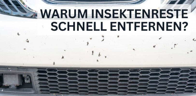 Warum ist es wichtig, Insektenreste schnell zu entfernen? - Warum ist es wichtig, Insektenreste schnell zu entfernen?