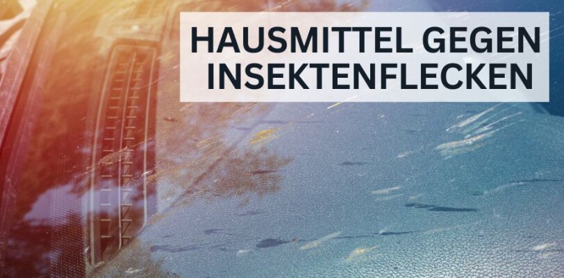 Hausmittel gegen Insektenflecken – Funktionieren sie wirklich? - Hausmittel gegen Insektenflecken – Funktionieren sie wirklich?