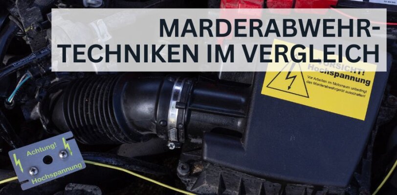 Die besten Marderabwehr-Techniken im Vergleich - Die besten Marderabwehr-Techniken im Vergleich