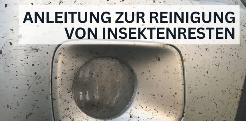 Schritt-für-Schritt-Anleitung zur schonenden Reinigung von Insektenresten - Schritt-für-Schritt-Anleitung zur schonenden Reinigung von Insektenresten