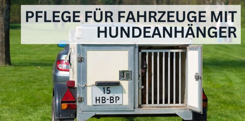 Pflege für Fahrzeuge mit Hundeanhänger - Pflege für Fahrzeuge mit Hundeanhänger: Sauberkeit trotz Tiertransport